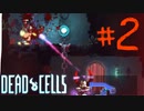 【Dead Cells】敵の弾壁貫通はずるい#2