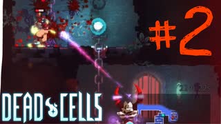 【Dead Cells】敵の弾壁貫通はずるい#2