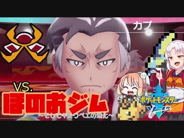【ポケモン剣盾】そら×ついの色違いガラル旅～VS.ほのおジム～part9