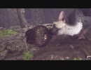 【人喰いの大鷲トリコ】鶏喰いのわしが実況プレイ  Part18