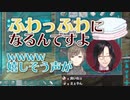 初サシコラボで洗濯機で盛り上がる叶とシェリン【にじさんじ切り抜き】叶/シェリン・バーガンディ