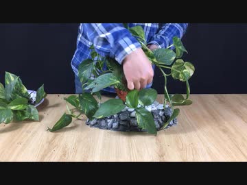 セメントと発泡スチロールのすばらしいアイデア 発泡スチロールボックスを水槽にリサイクル ニコニコ動画