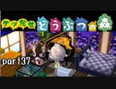 とびだせどうぶつの森実況 part37【ノンケ冒険記☆ケツだせ村の1年間】