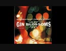 Gin Blossoms - Follow You Down