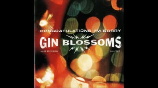 Gin Blossoms - Follow You Down