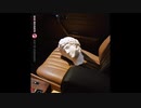 Bad Religion - Age Of Unreason