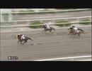 吉村智洋騎手地方競馬通算2,000勝達成！(2020年2月25日園田競馬4R C2-三組 メイショウユウシン)