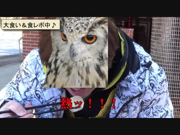 天内ワールドツアー！貴族がリトルワールドで大食いに挑戦！！