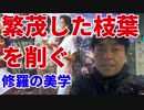 繁茂した枝葉を削ぐ～修羅の美学～