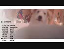 2019年 Entertainment別売上ランキング