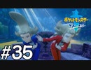 【実況】一時の感情でルールを課していくポケモン(剣)【ポケモン剣盾】#35