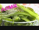 「音フェチ」【咀嚼音】イヤホン推奨！ASMR！リクエスト♪生茎わかめを食べて見た♪コリコリ良い音♪
