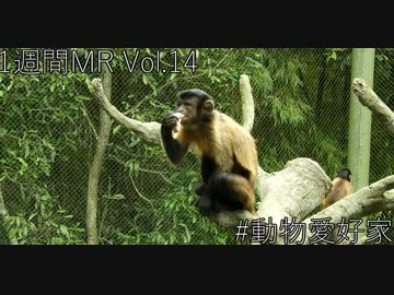【1週間MR】動物愛好家MR【Vol.14】