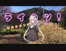 【紲星あかり車載】ライカツ！　第22回 ～春の予感♪～