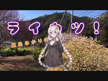 【紲星あかり車載】ライカツ！　第22回 ～春の予感♪～