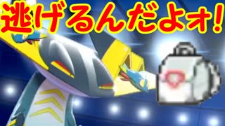 人気の ドラパルト 動画 65本 2 ニコニコ動画