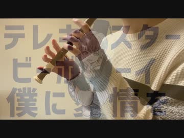 【リコーダーで】　テレキャスタービーボーイ　【吹いてみた】