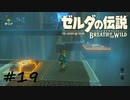 【ゼルダの伝説BotW】記憶喪失だけどちょっと世界救ってくるPart19【実況】