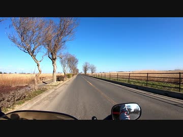 【VFR】首都圏で日帰りツーリングをするVOL.02渡良瀬遊水地
