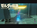 【ゼルダの伝説BotW】記憶喪失だけどちょっと世界救ってくるPart21【実況】