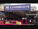 「ウイルスは野生動物由来ではない」大紀元が調査報告を発表