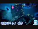 【実況】FE無双やる！【20】