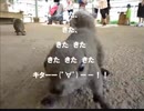のまさんち「【危険地帯】町田市立『リス園』に行ってきた！Σ（゜д゜；）」
