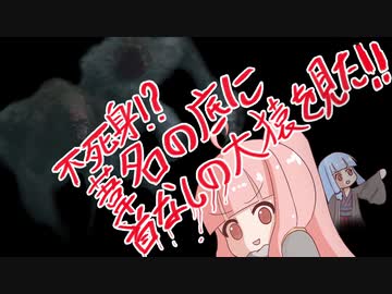 【SEKIRO】ダークな戦国時代で茜ちゃんが生き抜く　16