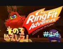 【実況】ゲームするだけでフィットネス！？#14【リングフィットアドベンチャー】