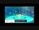 2020/02/21 ミツハニー♂配布会 1