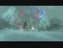 【Switch】リンクの記憶なしで成り行き旅【プレイ動画】part30