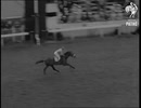 1958年 第179回ダービーステークス(Derby Stakes) ハードリドン(Hard Ridden)