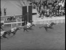 1957年 第178回ダービーステークス(Derby Stakes) クレペロ(Crepello)