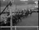 1956年 第177回ダービーステークス(Derby Stakes) ラヴァンダン(Lavandin)