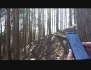 奥多摩 鷹ノ巣山 その１