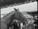1954年 第175回ダービーステークス(Derby Stakes) ネヴァーセイダイ(Never Say Die)