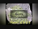 【NNI】Xenolith【trance???】