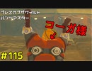 【趣味】拙いですがパンツでマスターになる【ゼルダの伝説ブレスオブザワイルド】pants115