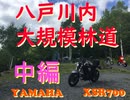 【実況車載動画】岩手 八戸川内大規模林道ツーリング 中編