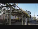 低級家具日記　2019年11月30日大洗その3
