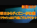 【新型コロナ】明日からディズニーが休園ですが、クラッシュはどう過ごすんですか【タートルトーク】東京ディズニーシー