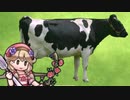 エフィとアルムのラブラブ♥FEヒーローズ 外伝15/愛のエフィ祭・千秋楽編【ゆっくり実況】