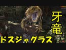 【モンスターハンターワールド】初任務！！強敵ドスジャグラス討伐だったはずが・・・・＃２
