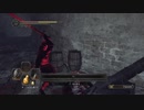 初見で死にまくる【ダークソウル２】part33