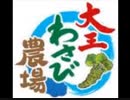 のまさんち「大王わさび農場！　長野県 安曇野市 穂高」