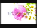 【結月ゆかり】カンパニュラ【オリジナル】