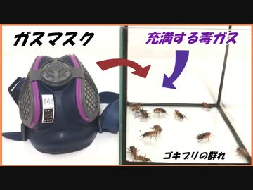 「防毒マスク」で毒ガスの中にいるゴキブリを保護できるか試してみたら、想像を超える結果になった。