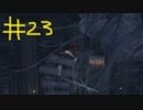 【Bloodborne】フロムゲー初心者のブラッドボーンpart23【実況プレイ】