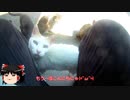 【ゆっくり】時雨梓の島猫レポート　Vol.08【旅動画】