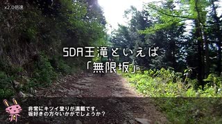 ヘタレうさぎと未知なる景色　～SDA王滝紹介編～